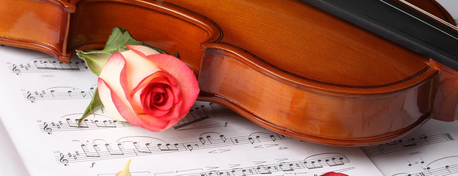 Violin Classical Music Concert 2020 — event banner