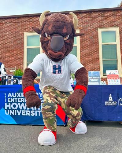 Battle of the Real HU: Howard University vs. Hampton University Football Game — photo 2